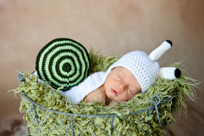 Fotografie IMG_2843.jpg v galerii Novorozenci od fotografky Eriky Matějkové