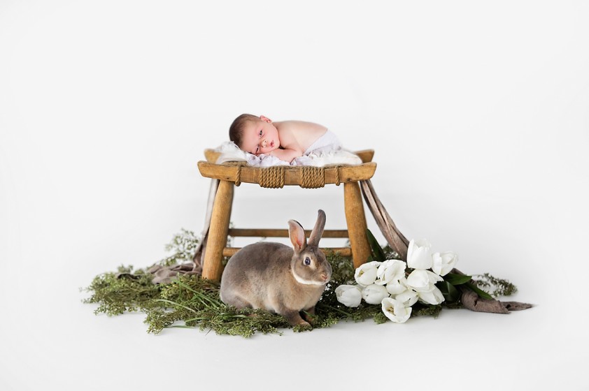 Fotografie velbanovawww.jpg v galerii Novorozenci od fotografky Eriky Matějkové